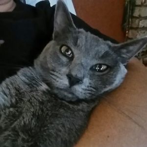 Meet your Posher, Alejandra